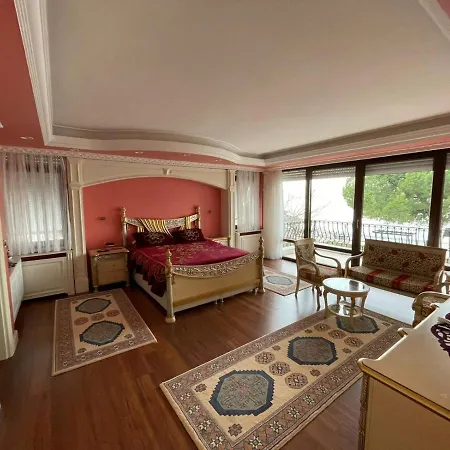 Denize Sifir Oezel Havuzu Ve Iskelesi Olan Yali * Darica (Marmara)